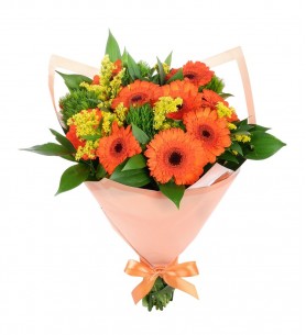 Gerbera mix
